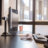 DS100 Dual-Monitor Desk Stand, Horizontal